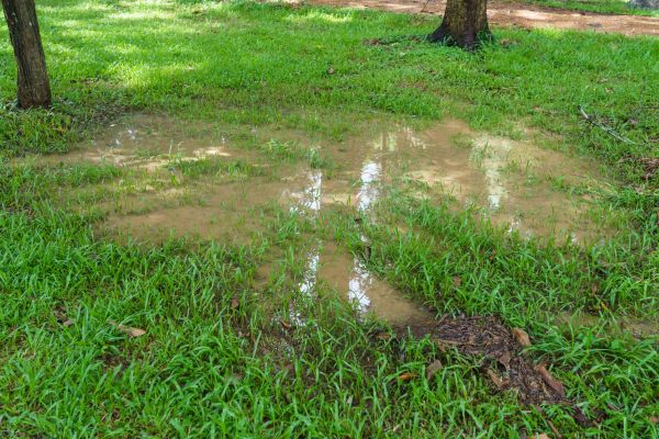 Cost of Storm Water Drainage Service in Loveland