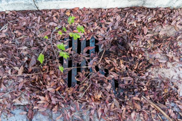 Cost of Yard Drain Unclogging in Loveland