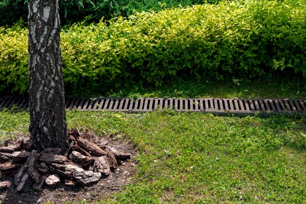 Cost of Wet Yard Drainage in Loveland