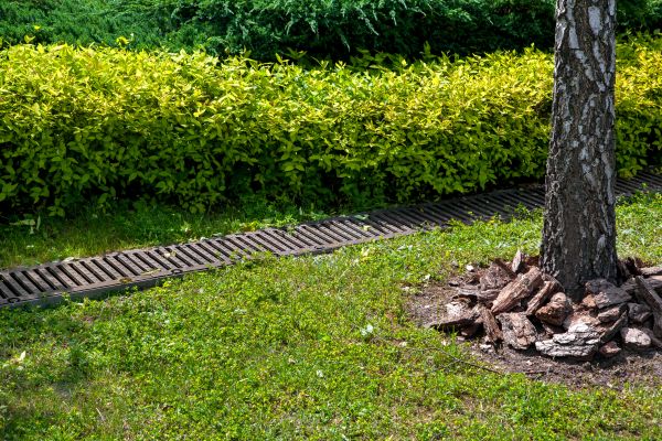 Cost of Residential Landscape Drainage in Loveland
