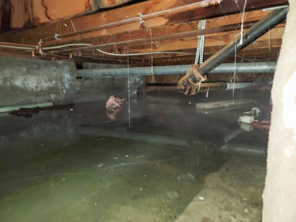 Cost of Crawlspace Drainage in Loveland